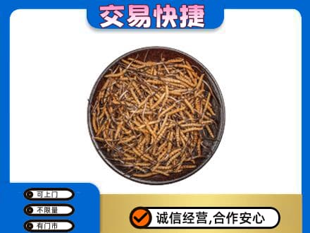 下城区回收散虫草